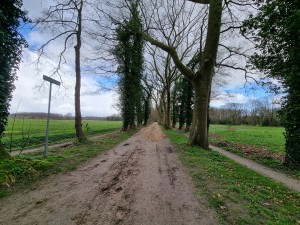 
                            <b>Zandpad langs de Oosterbroekweg</b><br>
                                                        <b>ISO:</b> 50 | <b>Sluitertijd:</b> 1/702 | <b>Diafragma:</b> f/2.2 | <b>Datum:</b> 2024-03-23

                        
