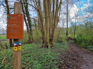 
                            <b>Toegang tot het wandelpad in het Quintusbos</b><br>
                                                        <b>ISO:</b> 50 | <b>Sluitertijd:</b> 1/242 | <b>Diafragma:</b> f/1.8 | <b>Datum:</b> 2024-03-23

                        