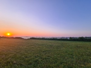 
                            <b>Aan de rand van het schildmeer, tijdens de ondergaande zon.</b><br>
                                                        <b>ISO:</b> 64 | <b>Sluitertijd:</b> 1/494 | <b>Diafragma:</b> f/2.2 | <b>Datum:</b> 2023-06-11

                        
