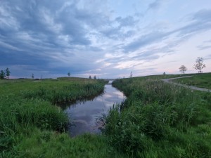 
                            <b>In het wandelgebied langs de Vossenburglaan</b><br>
                                                        <b>ISO:</b> 80 | <b>Sluitertijd:</b> 1/50 | <b>Diafragma:</b> f/2.2 | <b>Datum:</b> 2024-05-13

                        