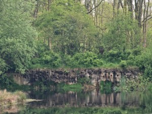 
                            <b>Oeverwand met nestholtes in dichtbegroeid bos.</b><br>
                                                        <b>ISO:</b> 64 | <b>Sluitertijd:</b> 1/100 | <b>Diafragma:</b> f/4.9 | <b>Datum:</b> 2024-04-27

                        