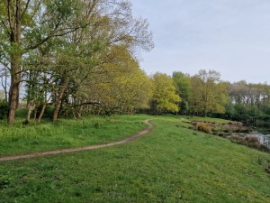 
                            <b>Bosrijk landschap met beek en wandelpad</b><br>
                                                        <b>ISO:</b> 50 | <b>Sluitertijd:</b> 1/4785 | <b>Diafragma:</b> f/1.8 | <b>Datum:</b> 2024-04-27

                        