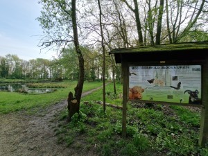 
                            <b>Informatiebord over natuurgebied Noorderwold.</b><br>
                                                        <b>ISO:</b> 50 | <b>Sluitertijd:</b> 1/876 | <b>Diafragma:</b> f/2.2 | <b>Datum:</b> 2024-04-27

                        