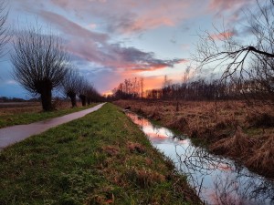 
                            <b>Smal beekje reflecteert kleurrijke avondlucht tussen gras en bomen.</b><br>
                                                        <b>ISO:</b> 50 | <b>Sluitertijd:</b> 1/100 | <b>Diafragma:</b> f/1.8 | <b>Datum:</b> 2024-02-12

                        