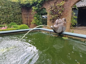 
                            <b>De Theefabriek - Vijver met theepot fontein</b><br>
                                                        <b>ISO:</b> 50 | <b>Sluitertijd:</b> 1/1383 | <b>Diafragma:</b> f/1.8 | <b>Datum:</b> 2024-07-06

                        