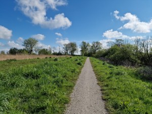 
                            <b>Vanaf de parkeerplaats, Herenhuisweg, over het fietspad met een blauwe lucht</b><br>
                                                        <b>ISO:</b> 50 | <b>Sluitertijd:</b> 1/18519 | <b>Diafragma:</b> f/1.8 | <b>Datum:</b> 2024-04-21

                        