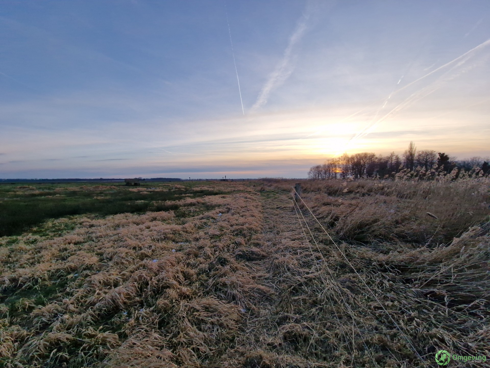 Foto van Schildwolde