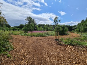 
                            <b>Onverharde paden splitsen in groene natuur met bloeiende bloemen.</b><br>
                                                        <b>ISO:</b> 64 | <b>Sluitertijd:</b> 1/2904 | <b>Diafragma:</b> f/2.2 | <b>Datum:</b> 2023-07-03

                        