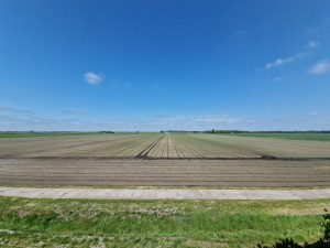 
                            <b>Uitgestrekt, leeg landbouwveld met symmetrische lijnen en verre horizon.</b><br>
                                                        <b>ISO:</b> 50 | <b>Sluitertijd:</b> 1/2976 | <b>Diafragma:</b> f/2.2 | <b>Datum:</b> 2025-05-17

                        