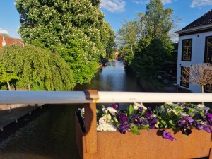 
                            <b>Bloembak met viooltjes op brugleuning, uitzicht op rustige gracht.</b><br>
                                                        <b>ISO:</b> 50 | <b>Sluitertijd:</b> 1/1076 | <b>Diafragma:</b> f/1.8 | <b>Datum:</b> 2025-05-08

                        