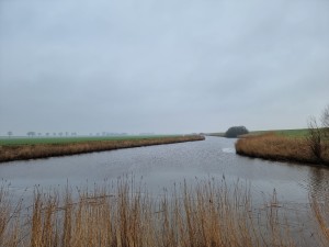 
                            <b>Boezemkanaal omringd door grasland en riet.</b><br>
                                                        <b>ISO:</b> 50 | <b>Sluitertijd:</b> 1/237 | <b>Diafragma:</b> f/1.8 | <b>Datum:</b> 2024-01-13

                        