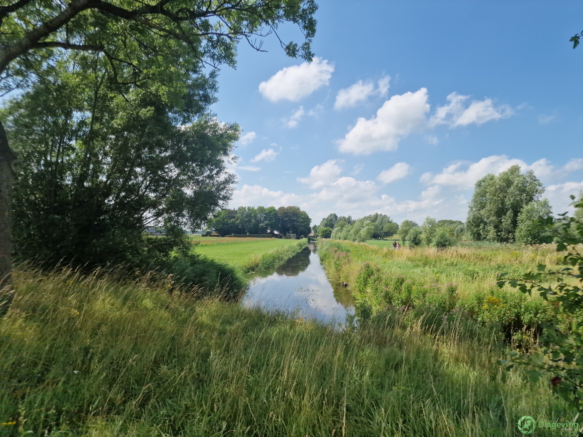 Foto van Zuidwolde