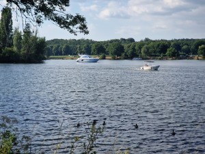 
                            <b>Twee boten varen op een meer, met eenden op de voorgrond.</b><br>
                                                        <b>ISO:</b> 50 | <b>Sluitertijd:</b> 1/2421 | <b>Diafragma:</b> f/2.4 | <b>Datum:</b> 2025-06-29

                        