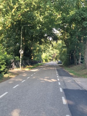 
                            <b>Rechte weg omringd door bomen met geparkeerde auto aan de kant.</b><br>
                                                        <b>ISO:</b> 50 | <b>Sluitertijd:</b> 1/180 | <b>Diafragma:</b> f/1.8 | <b>Datum:</b> 2025-06-29

                        