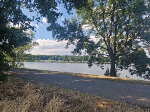 
                            <b>Rivier met bomen en gras langs de oever en blauwe lucht.</b><br>
                                                        <b>ISO:</b> 50 | <b>Sluitertijd:</b> 529661/250000000 | <b>Diafragma:</b> f/1.8 | <b>Datum:</b> 2025-06-29

                        