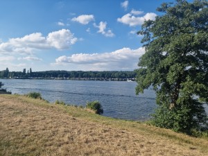 
                            <b>Brede rivier met rustig kabbelend water.</b><br>
                                                        <b>ISO:</b> 50 | <b>Sluitertijd:</b> 1/10000 | <b>Diafragma:</b> f/1.8 | <b>Datum:</b> 2025-06-29

                        