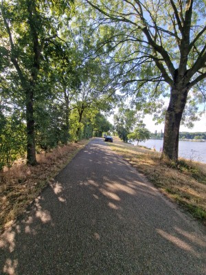 
                            <b>Pad omgeven door bomen langs een rivier, auto op de achtergrond.</b><br>
                                                        <b>ISO:</b> 50 | <b>Sluitertijd:</b> 1/480 | <b>Diafragma:</b> f/2.2 | <b>Datum:</b> 2025-06-29

                        