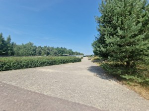 
                            <b>Pad langs groene struiken met bomen en open hemel op achtergrond.</b><br>
                                                        <b>ISO:</b> 50 | <b>Sluitertijd:</b> 1/2358 | <b>Diafragma:</b> f/2.2 | <b>Datum:</b> 2025-06-25

                        