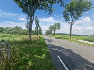 
                            <b>Landelijke weg omringd door bomen en gras, met rustige verkeerssfeer.</b><br>
                                                        <b>ISO:</b> 50 | <b>Sluitertijd:</b> 1/2000 | <b>Diafragma:</b> f/2.2 | <b>Datum:</b> 2025-07-20

                        