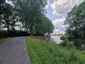 
                            <b>Weg langs water met bomenrij en groene berm.</b><br>
                                                        <b>ISO:</b> 50 | <b>Sluitertijd:</b> 297619/250000000 | <b>Diafragma:</b> f/1.8 | <b>Datum:</b> 2025-07-27

                        