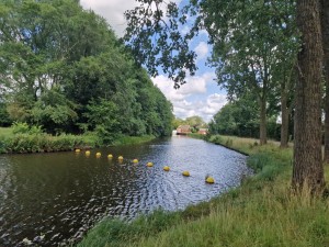 
                            <b>Rivier met gele boeien en bomen langs de oever.</b><br>
                                                        <b>ISO:</b> 50 | <b>Sluitertijd:</b> 214041/125000000 | <b>Diafragma:</b> f/1.8 | <b>Datum:</b> 2025-07-27

                        
