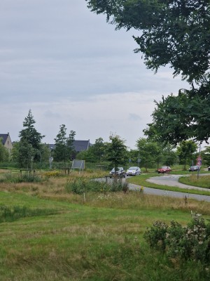 
                            <b>Fietser op rustige weg, omgeven door groen en enkele auto's.</b><br>
                                                        <b>ISO:</b> 50 | <b>Sluitertijd:</b> 1/1225 | <b>Diafragma:</b> f/2.4 | <b>Datum:</b> 2025-08-04

                        