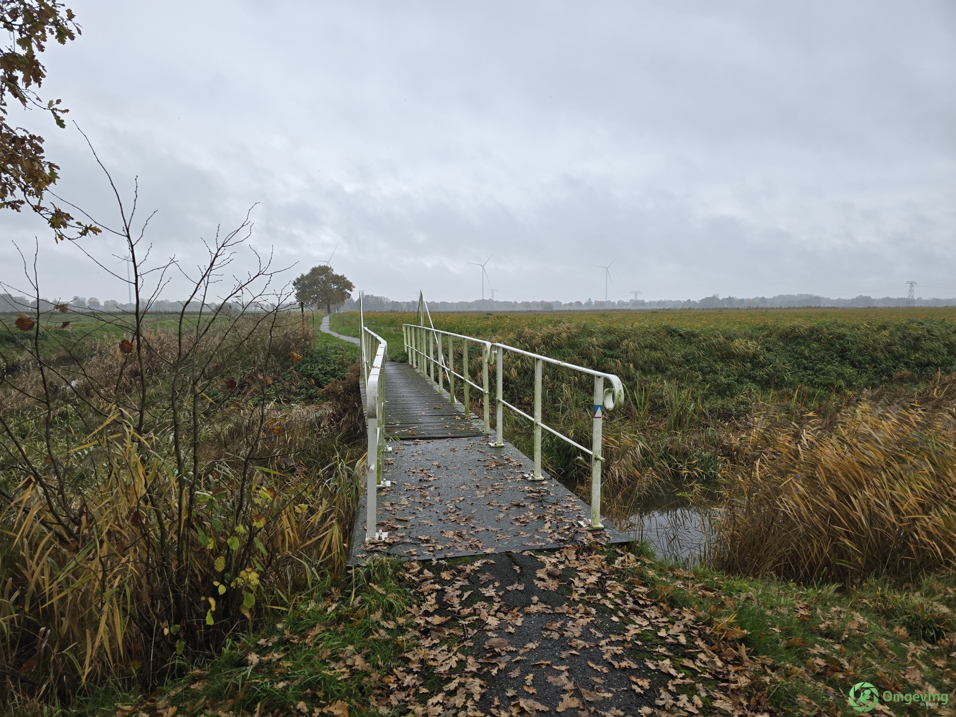Foto van Veendam