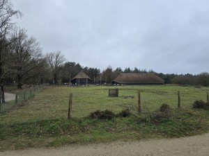 
                            <b>Boerderij met rieten dak en schuren in omheind weiland.</b><br>
                                                        <b>ISO:</b> 16 | <b>Sluitertijd:</b> 5567099/1000000000 | <b>Diafragma:</b> f/1.7 | <b>Datum:</b> 2025-12-07

                        