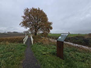 
                            <b>Een grote boom staat naast een smal bruggetje.</b><br>
                                                        <b>ISO:</b> 50 | <b>Sluitertijd:</b> 1/353 | <b>Diafragma:</b> f/2.2 | <b>Datum:</b> 2025-11-09

                        