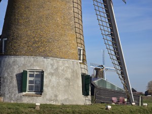 
                            <b>Close-up van traditionele windmolen met wieken en bakstenen romp.</b><br>
                                                        <b>ISO:</b> 32 | <b>Sluitertijd:</b> 1058773/1000000000 | <b>Diafragma:</b> f/3.4 | <b>Datum:</b> 2026-02-08

                        