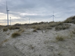 
                            <b>Windturbines draaien voor duurzame energie.</b><br>
                                                        <b>ISO:</b> 12 | <b>Sluitertijd:</b> 2347023/1000000000 | <b>Diafragma:</b> f/1.7 | <b>Datum:</b> 2026-02-08

                        