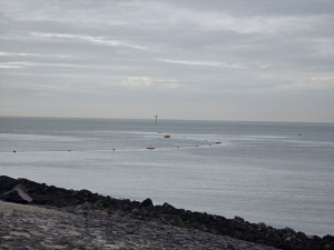 
                            <b>Gele boeien en kleine bootjes drijven op rustige zee.</b><br>
                                                        <b>ISO:</b> 32 | <b>Sluitertijd:</b> 2199357/1000000000 | <b>Diafragma:</b> f/3.4 | <b>Datum:</b> 2026-02-08

                        