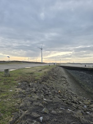 
                            <b>Windturbines langs de kust produceren duurzame energie.</b><br>
                                                        <b>ISO:</b> 12 | <b>Sluitertijd:</b> 2187479/1000000000 | <b>Diafragma:</b> f/1.7 | <b>Datum:</b> 2026-02-08

                        