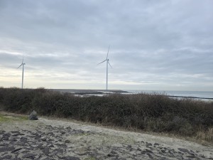 
                            <b>Twee windturbines.</b><br>
                                                        <b>ISO:</b> 12 | <b>Sluitertijd:</b> 3401069/1000000000 | <b>Diafragma:</b> f/1.7 | <b>Datum:</b> 2026-02-08

                        