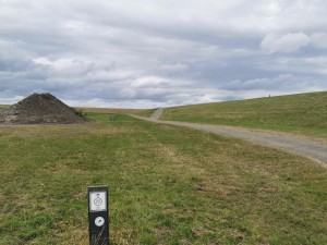 Wandelroutepaaltje met nummer 22 in grasland