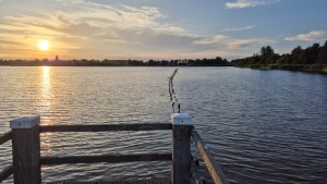 Het Oldambtmeer met een laaghangende zon
