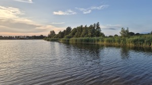 De oever van het Oldambtmeer